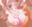 2021-02-01 22:40の投稿