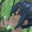 2021-02-04 00:11の投稿