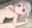 2021-02-05 20:46の投稿