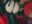 2021-02-06 23:38の投稿