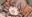 2021-02-13 19:04の投稿
