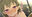 2021-02-14 19:47の投稿