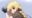 2018-06-08 16:19の投稿