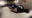2021-02-17 21:29の投稿