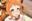 2021-02-18 00:29の投稿