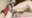 2021-02-19 21:11の投稿