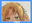 2021-02-23 02:26の投稿