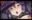 2021-02-24 19:00の投稿