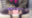 2021-02-27 22:59の投稿