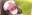 2021-03-04 18:00の投稿