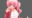 2021-03-09 19:39の投稿