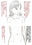 2021-03-10 10:41の投稿