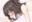 2021-03-10 21:08の投稿