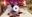 2021-03-20 09:03の投稿