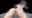 2021-03-23 00:11の投稿