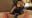 2021-04-11 21:35の投稿