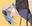 2021-04-20 12:34の投稿