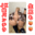 2021-04-26 19:00の投稿