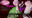 2021-04-29 20:12の投稿