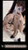 2021-05-11 20:44の投稿