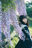 2021-05-15 18:29の投稿
