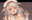 2021-05-31 20:41の投稿