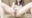 2021-06-13 21:00の投稿