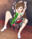 2021-07-01 00:00の投稿