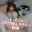 2021-07-10 20:00の投稿