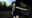 2021-07-15 00:00の投稿
