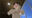 2021-07-17 00:00の投稿