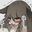 2021-07-17 20:50の投稿