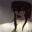 2021-07-31 21:38の投稿