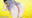 2021-08-10 11:51の投稿