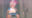 2021-08-12 01:48の投稿