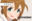 2021-08-21 20:00の投稿