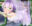 2021-08-23 02:44の投稿