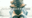 2021-09-08 19:00の投稿