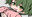 2021-09-04 21:21の投稿