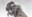 2021-09-11 16:21の投稿