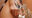 2021-09-15 14:41の投稿