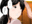 2021-09-16 16:41の投稿