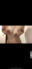 2021-09-19 22:47の投稿