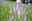 2021-09-20 00:51の投稿