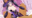 2021-10-13 18:34の投稿