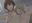 2021-10-17 00:00の投稿