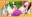2021-12-11 00:00の投稿