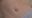2021-11-05 11:11の投稿