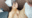 2021-11-14 20:00の投稿