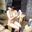 温泉好きさん集まれ♪の商品